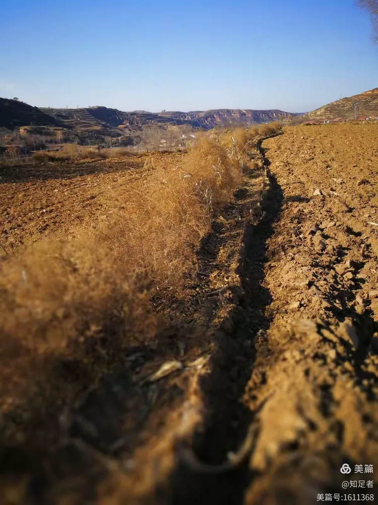 家乡的——路——土地——草2017.11.18